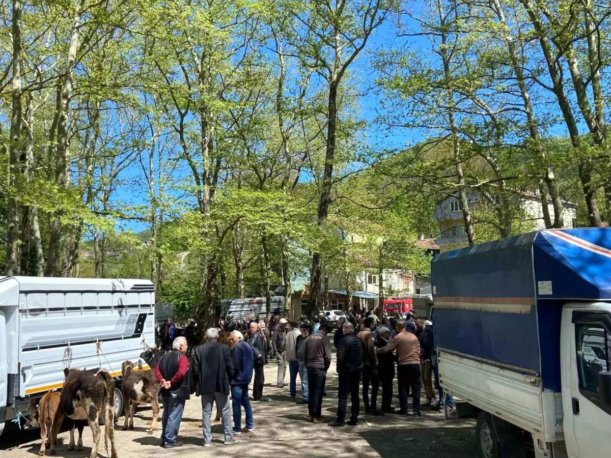 Çarşamba Pazarı’nda Kurbanlık Hareketliliği