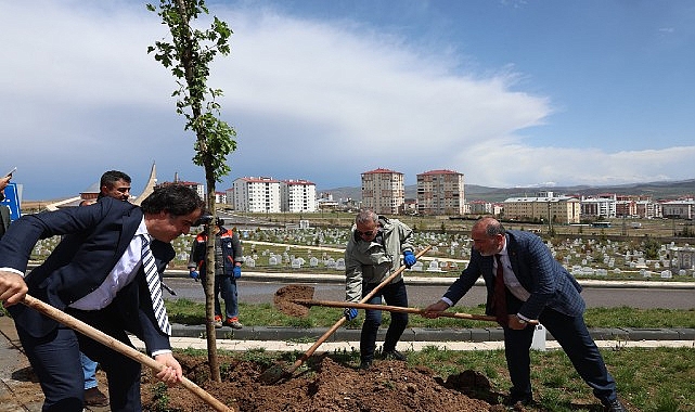 Minik Meleklerin Mezarlarında Manalı Düzenleme