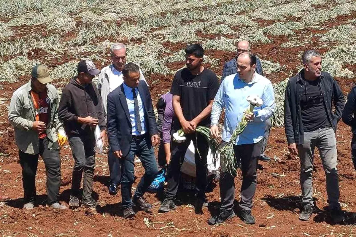 14 Mayıs Dünya Çiftçiler Günü Araban’da Kutlandı