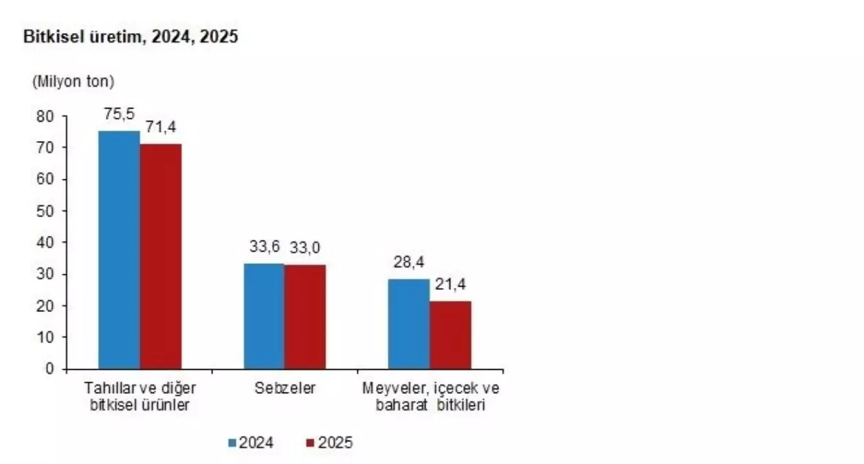 2025 Bitkisel Üretim Kestirimleri Azalış Gösterdi