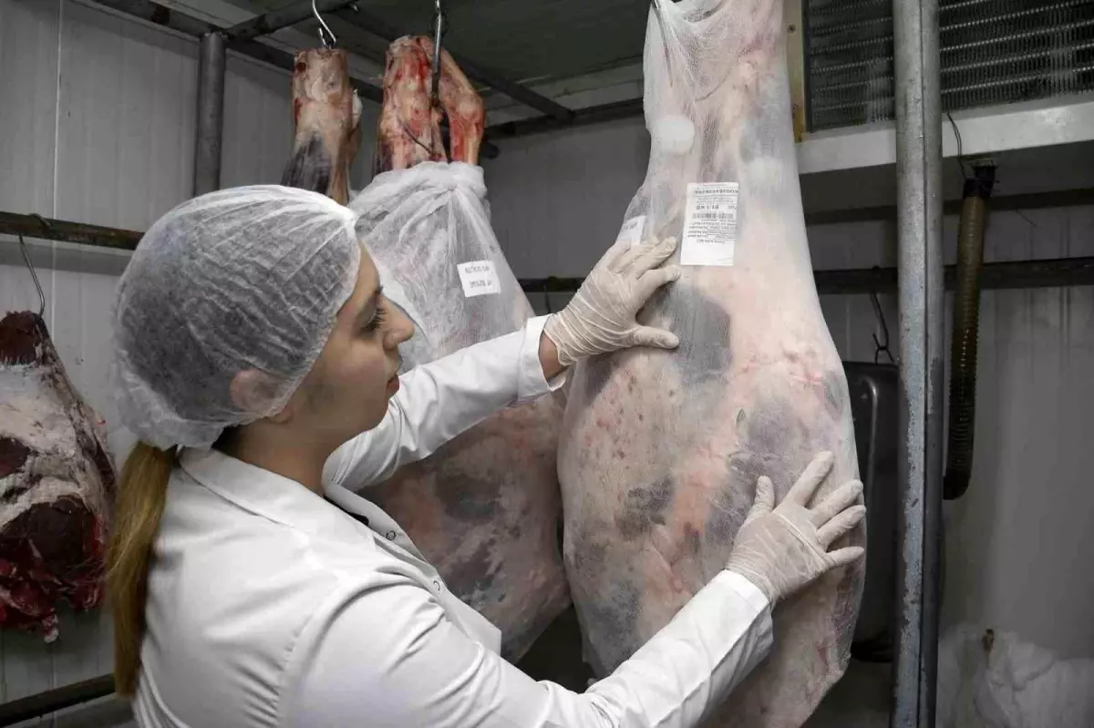 2025 Kurban Kesim Fiyatları Açıklandı