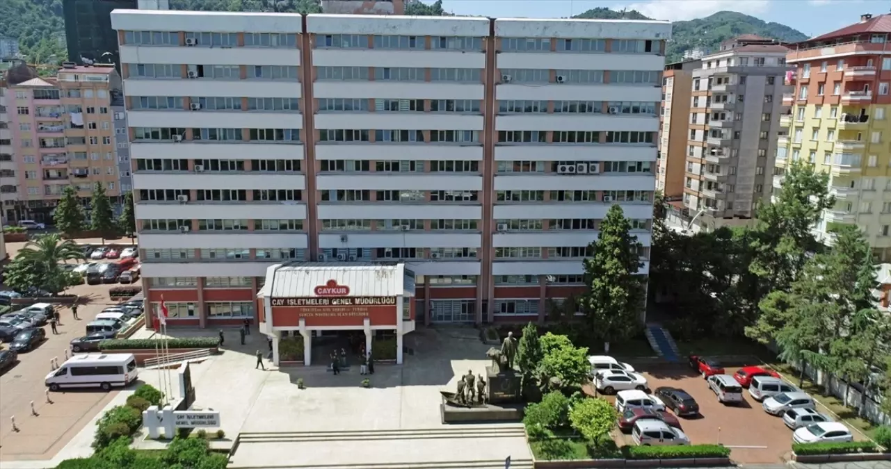 2025 Yaş Çay Kampanyası Başladı
