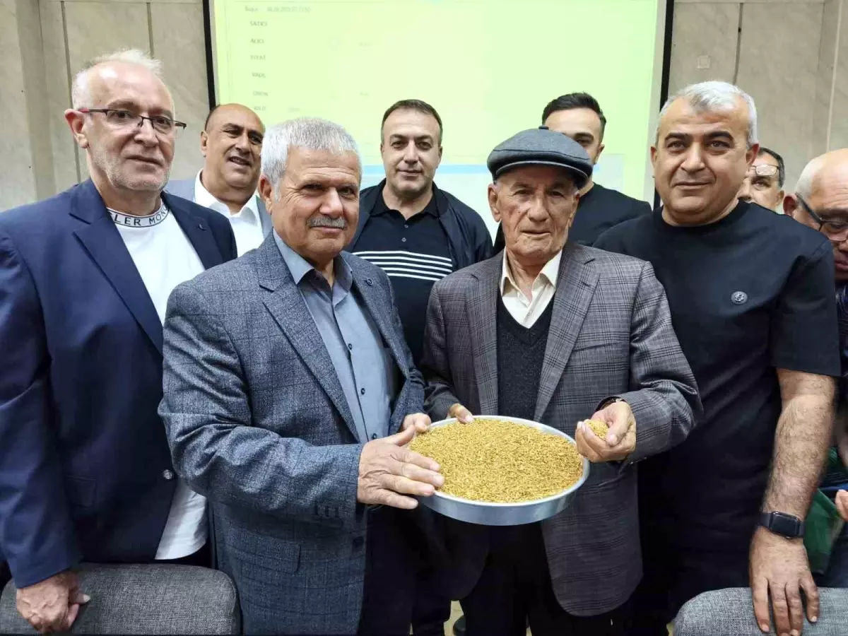 2025 Yılı Birinci Buğdayı Satışta