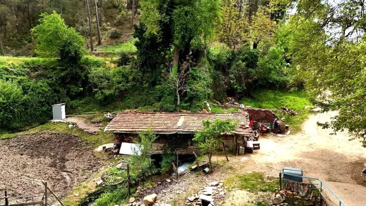 450 Yıllık Su Değirmeni Hala Etkin