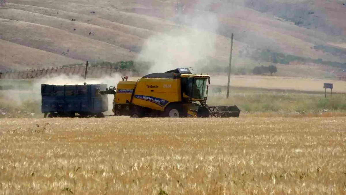 Adıyaman’da Hububat Hasadı Başladı
