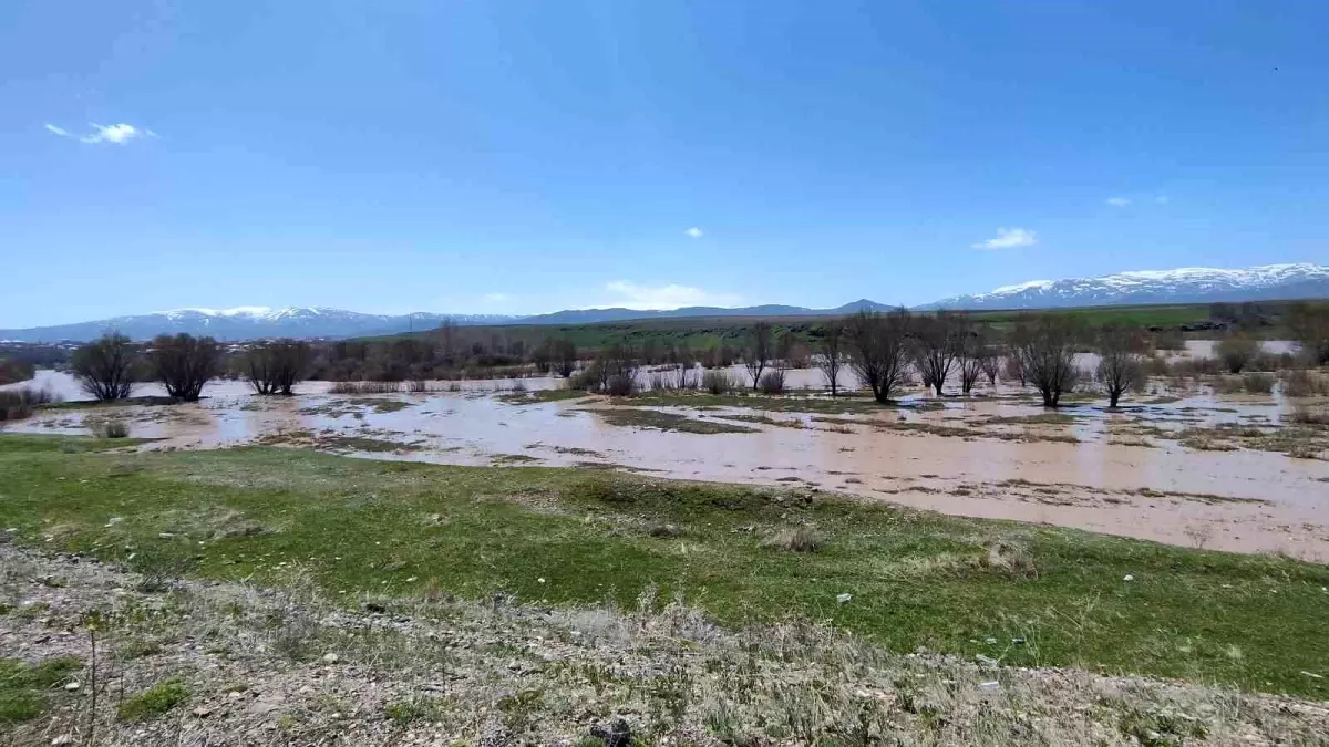 Ağrı’da Murat Irmağı Taştı