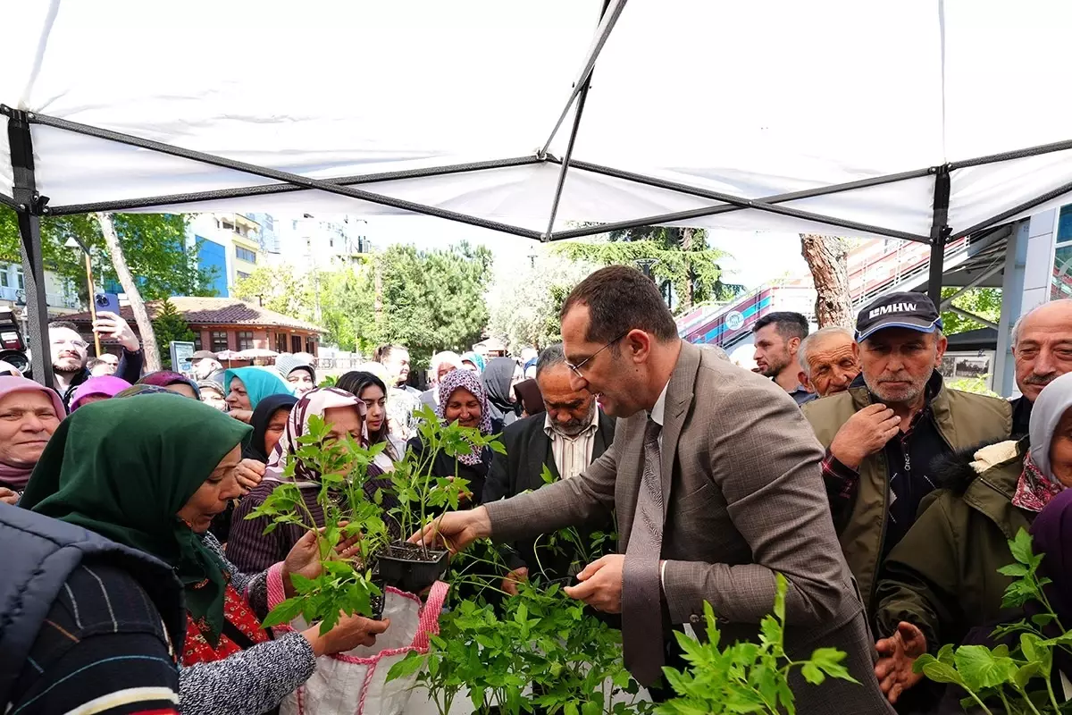 Akçaabat’ta 10 Bin Fide Fiyatsız Dağıtıldı