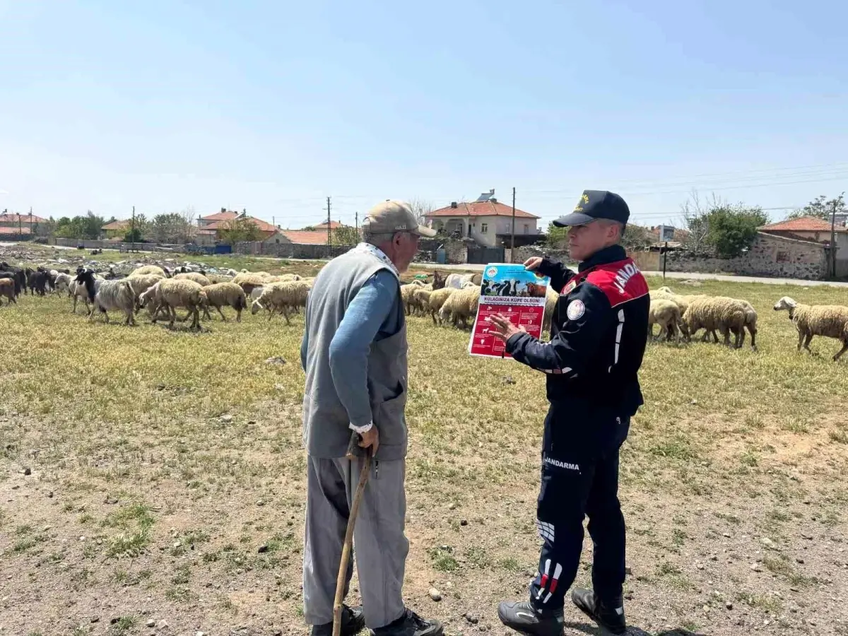 Aksaray’da Kurban Bayramı Hazırlıkları