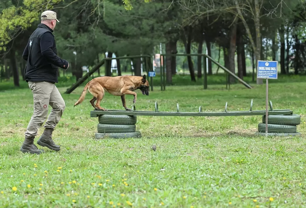 Askeri Köpekler TSK’nın Yanında