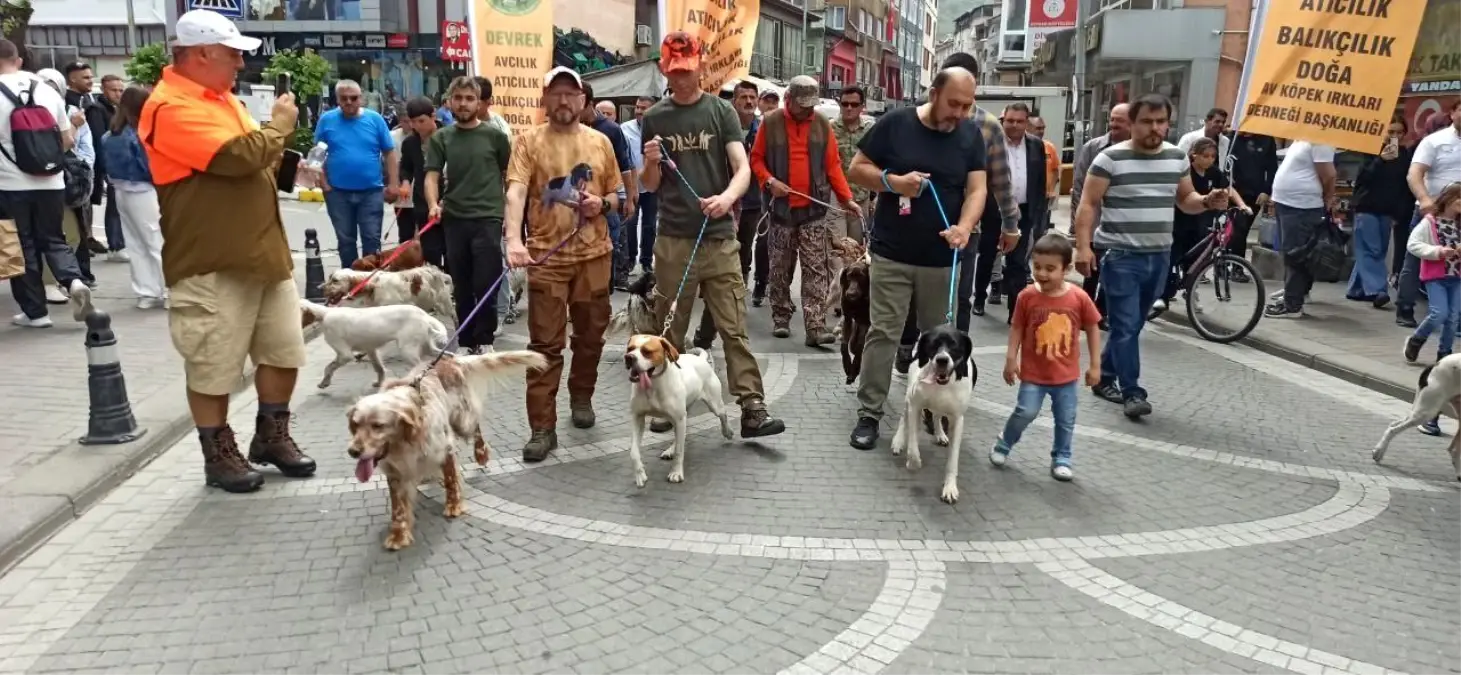 Avcılar ve Köpekler Devrek’te Bir Ortaya Geldi