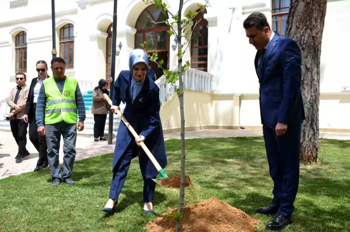 Bakan Göktaş, Bilecik’te Çınar Fidanı Dikti