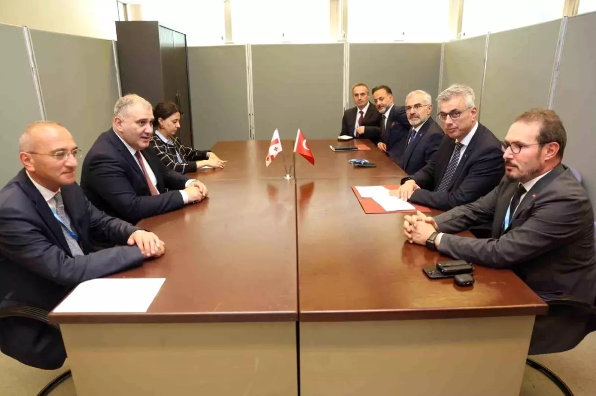 Bakan Memişoğlu, Gürcistanlı Mevkidaşıyla Görüştü