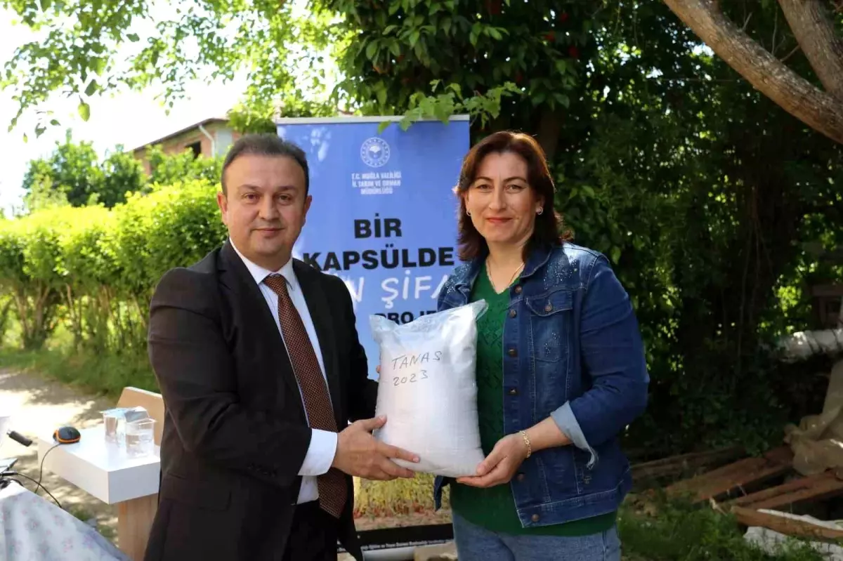 Bayan Çiftçilere Susam Eğitimi ve Tohum Dayanağı