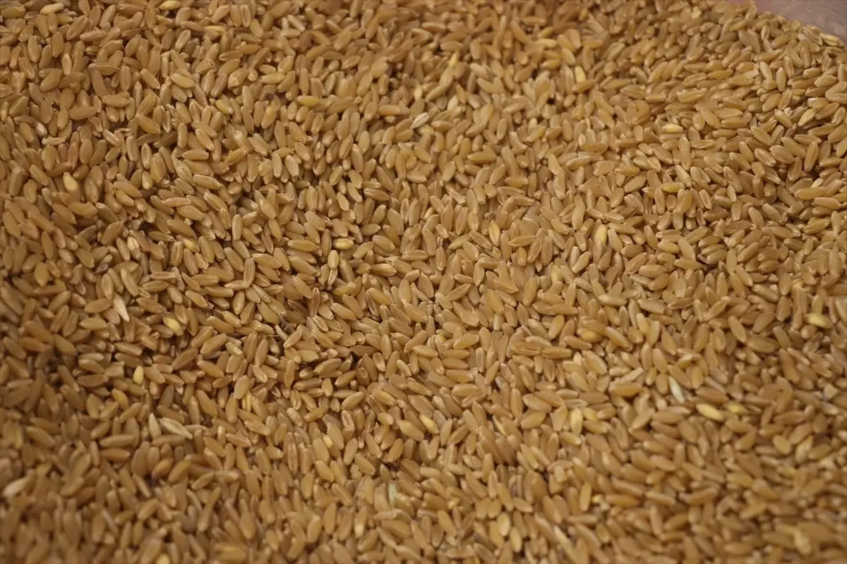 Besin İhracatı Yüzde 5,5 Arttı