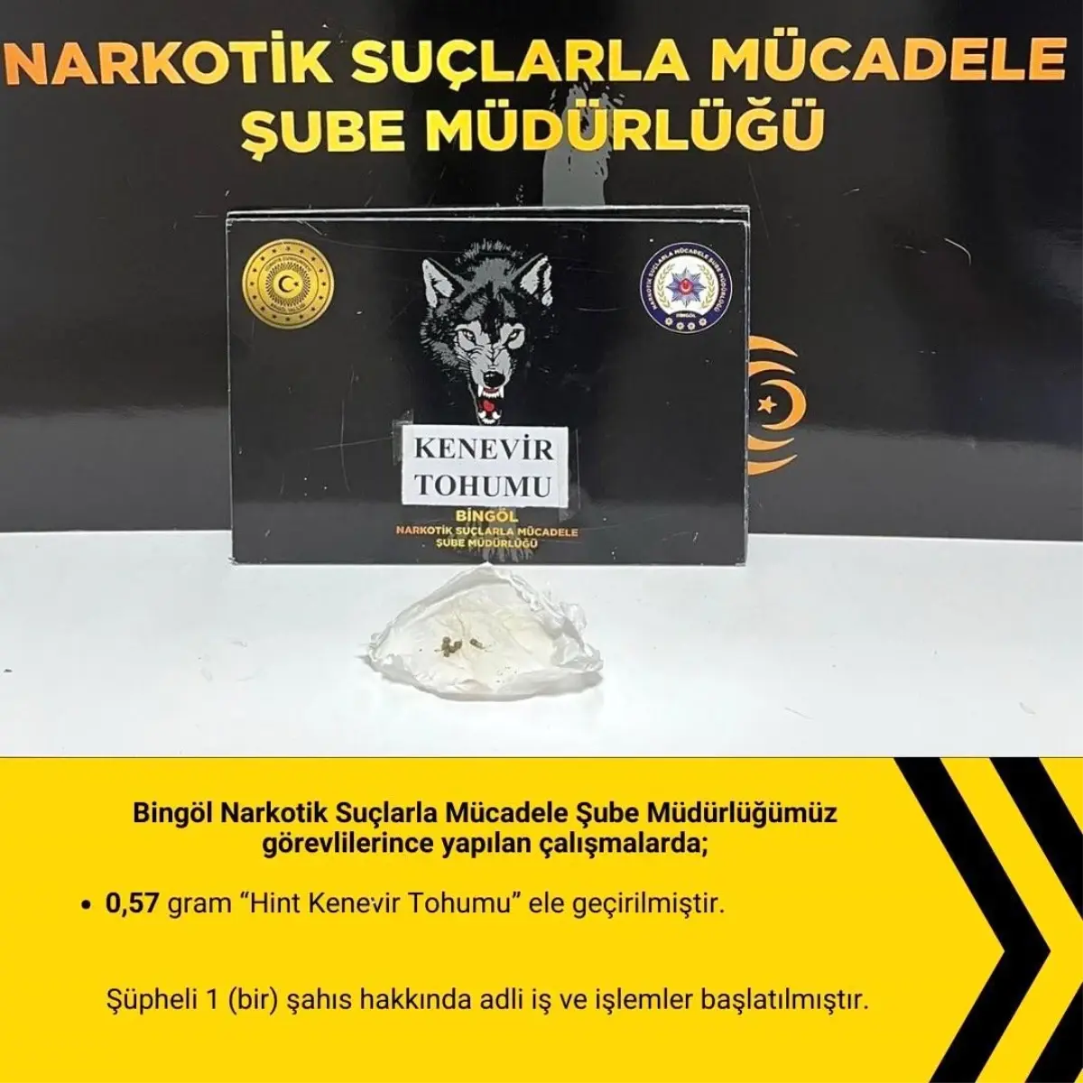 Bingöl’de Narkotik Uygulaması
