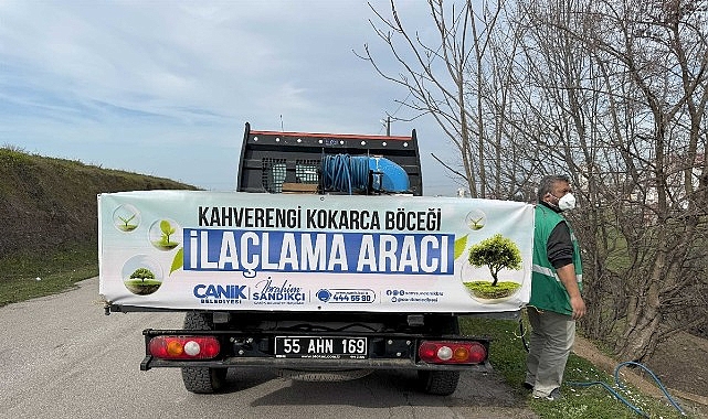 Canik’te Kokarca Böceğine Karşı Çabada Atak