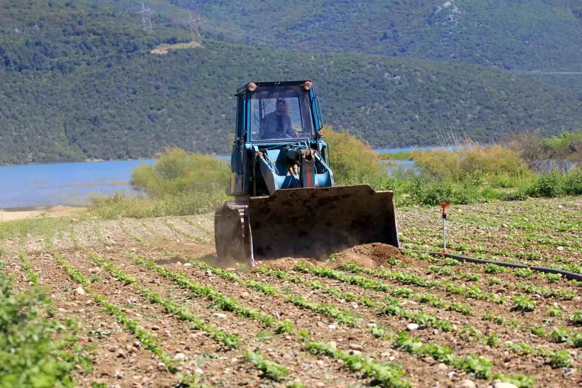 Çiftçiler Hakkında Çelişkili Hareket