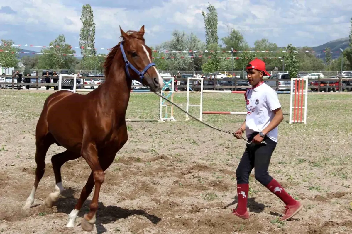 Çorum’da Memleketler arası Atçılık Şenliği Ağır İlgi Gördü