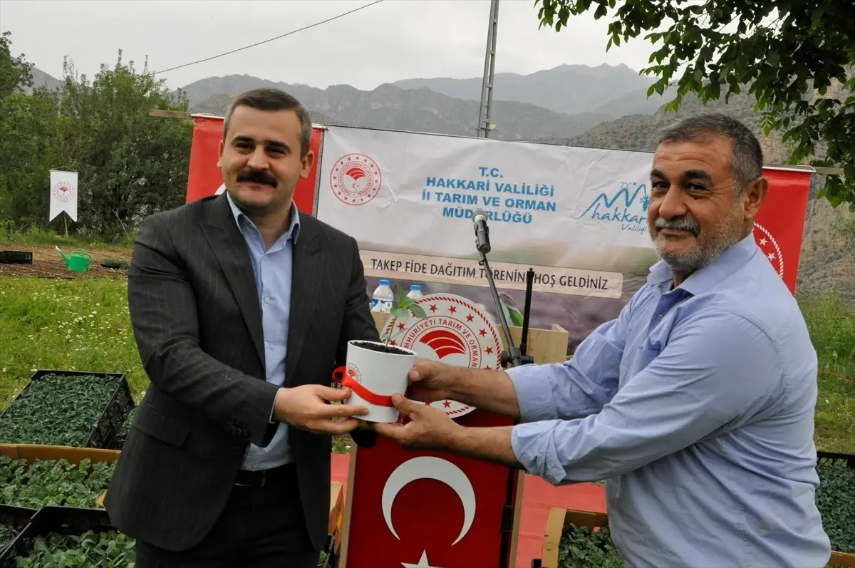 Çukurca’da Çiftçilere 43 Bin Fideler Dağıtıldı