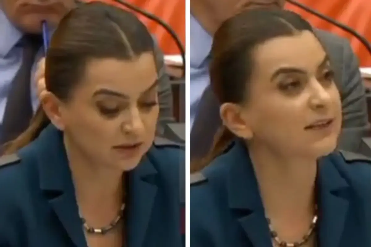 DEM Partili Koçyiğit Kürtçe konuştuğu sırada mikrofonu kapatıldı