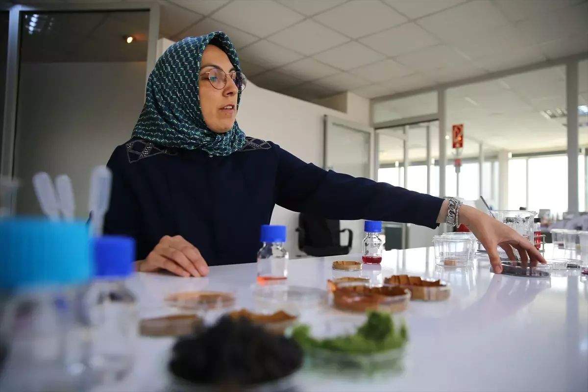 Deniz Yosunlu Akıllı Etiket Geliştirildi