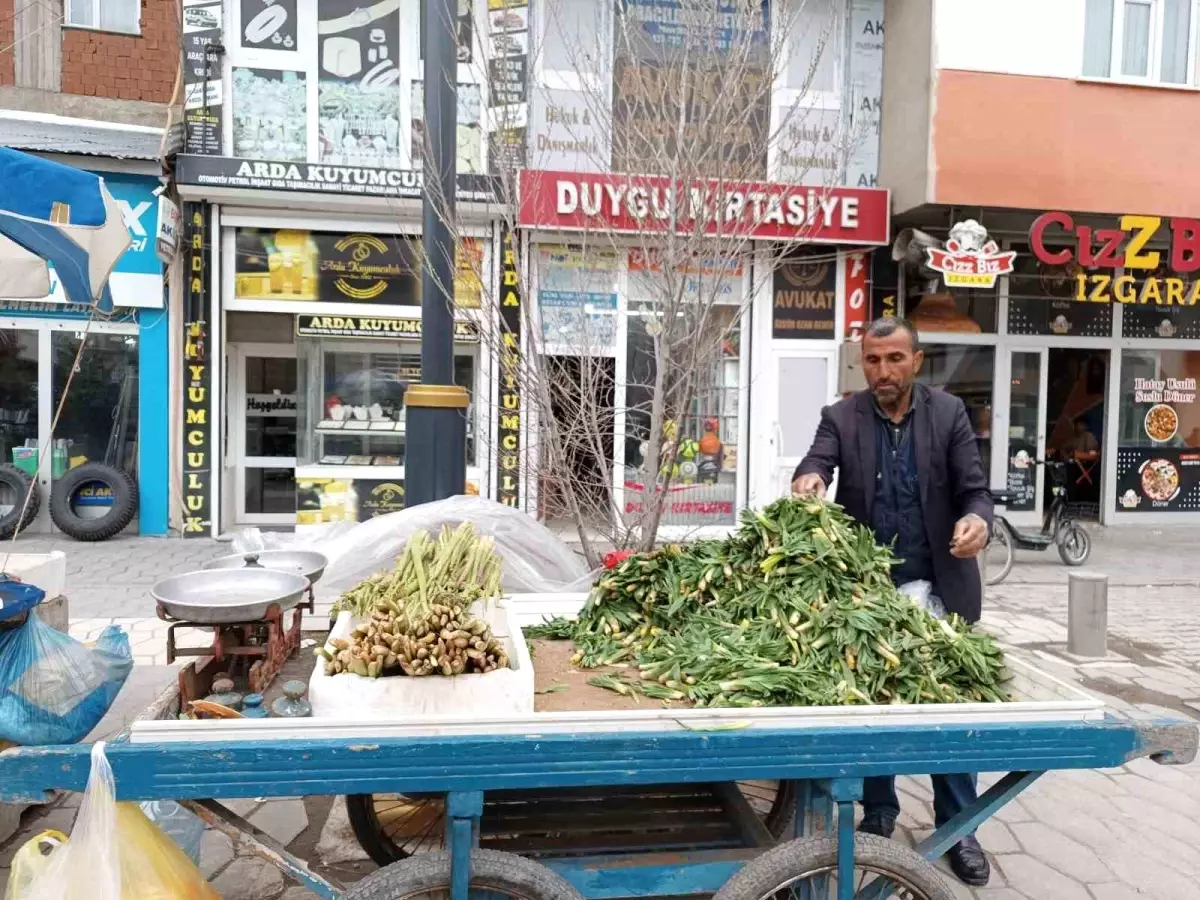 Diyadin’de Bahar İle Işkın ve Çiriş Ticareti Başladı
