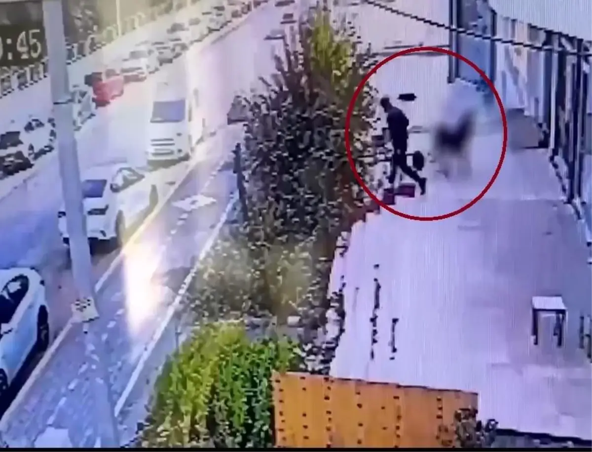 Diyarbakır’da Hata Örgütüne Baskın: 19 Tutuklama