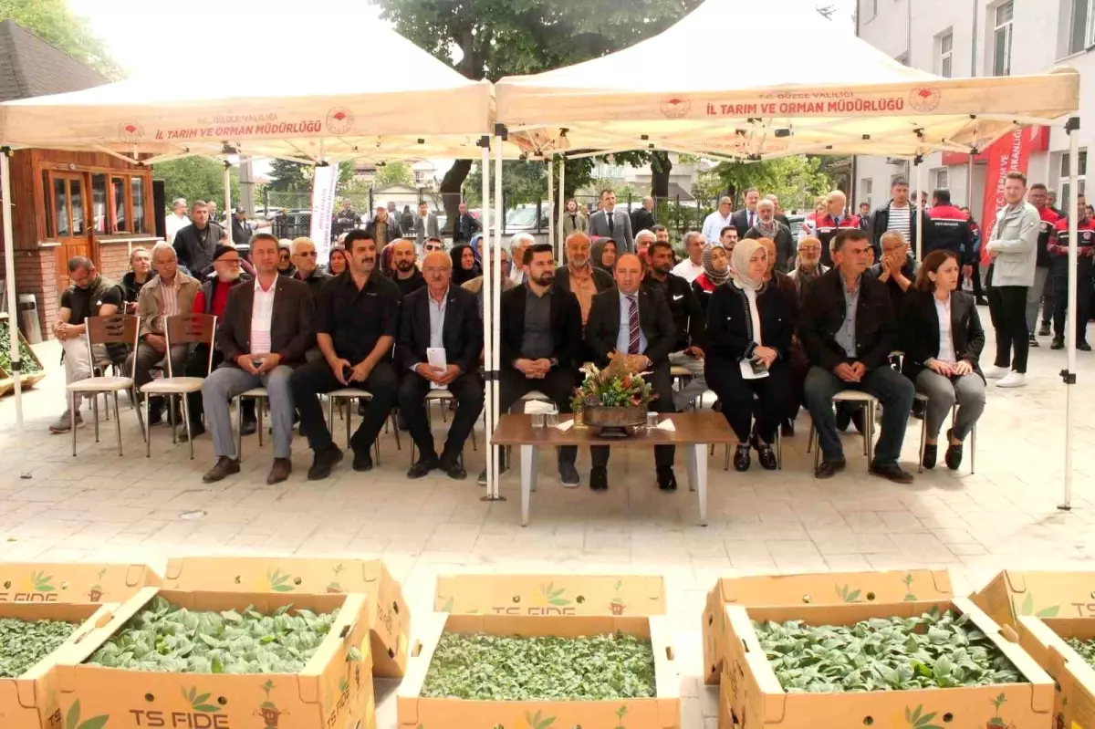 Düzce’de Fide Dağıtımı ile Zerzevat Üretimi Artacak