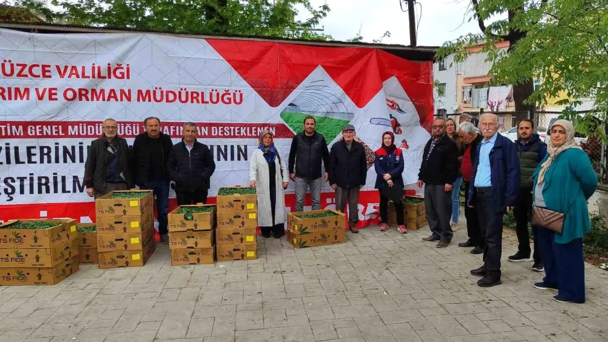 Düzce’de Fide Dağıtımıyla Tarım Destekleniyor