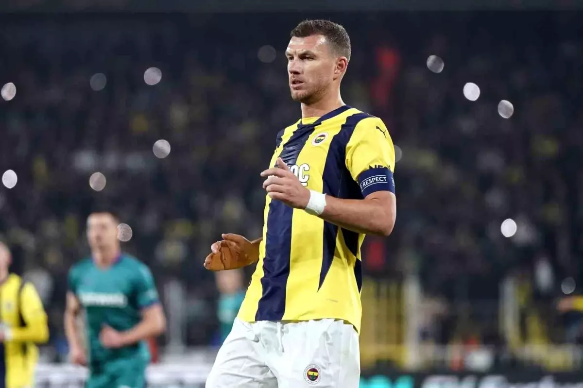 Dzeko ve Hajradinovic, Bosna Hersek Kadrosunda!