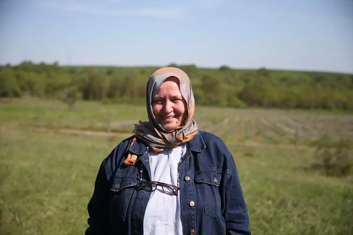 Edirne’de ‘Api Turizm’ Aktifliği