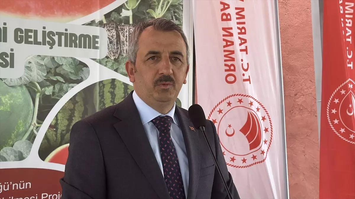 Edirne’de Çiftçilere Karpuz Fidesi Dağıtımı