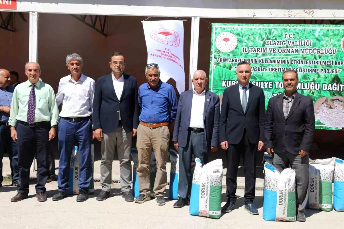 Elazığ’da 15 Ton Sertifikalı Fasulye Tohumu Dağıtımı