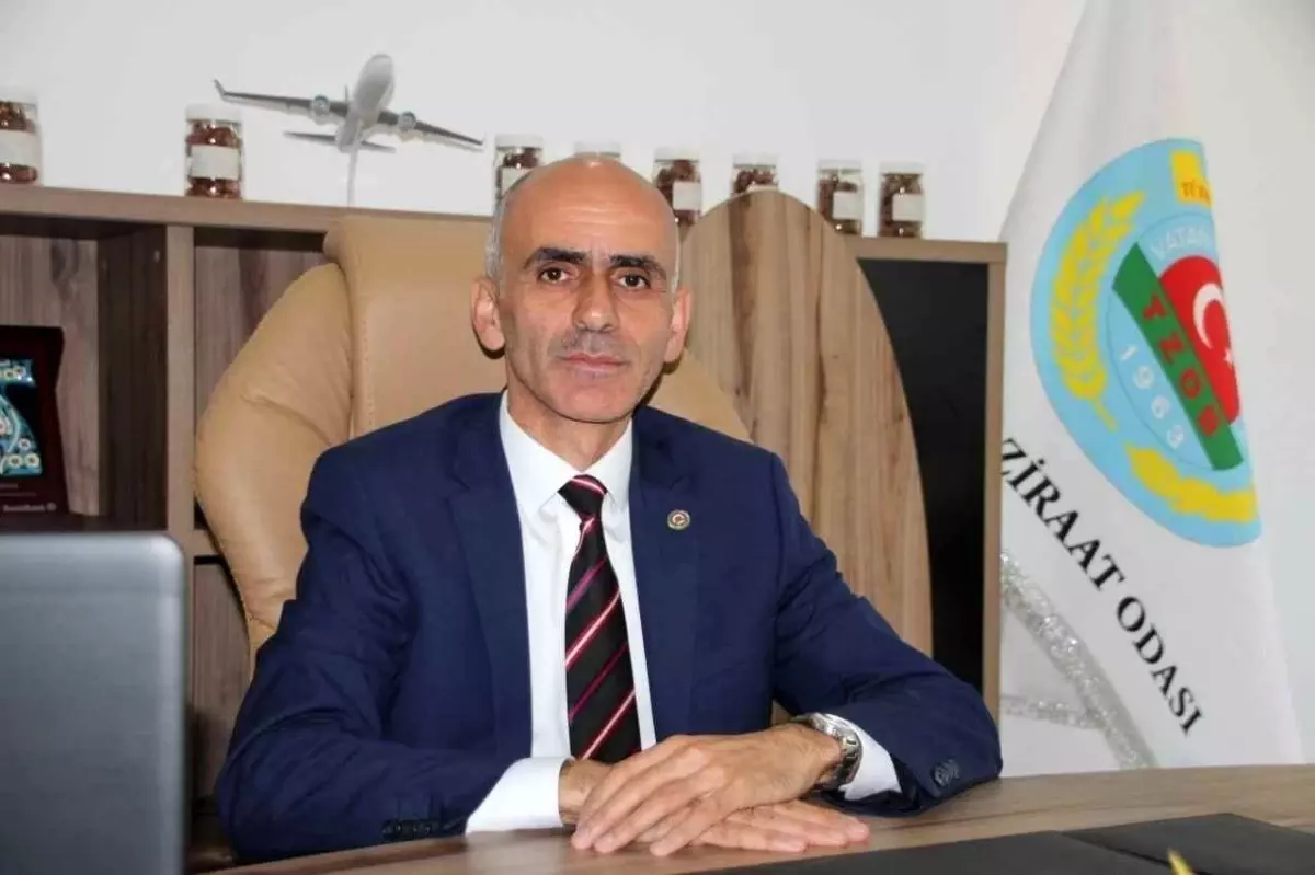 FİSKOBİRLİK’in Arazi Satışı Giresun’un Gelişimine Mahzur Oluyor