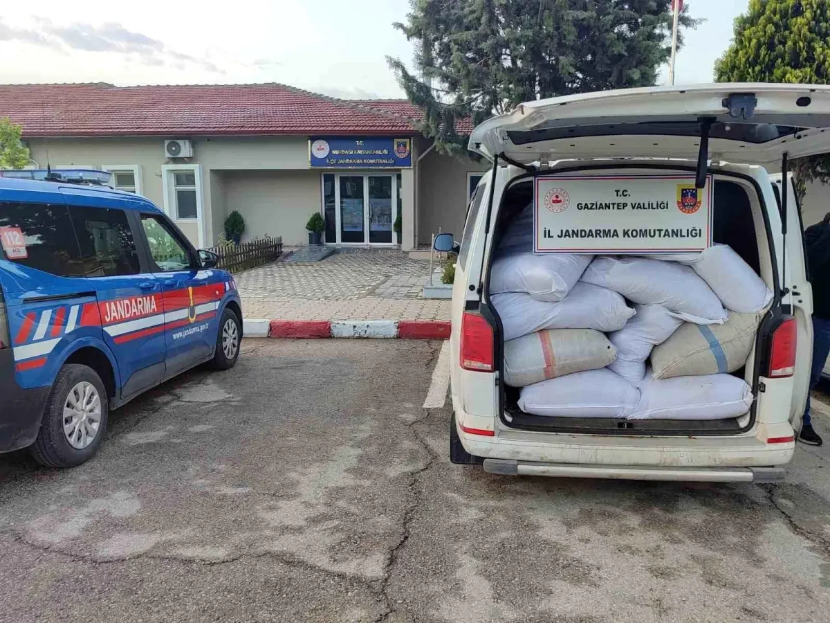Gaziantep’te Kaçak Tütün Operasyonu