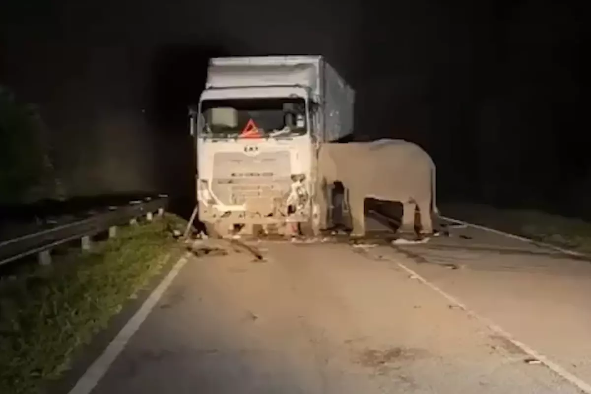 Gecenin karanlığında kahreden imaj