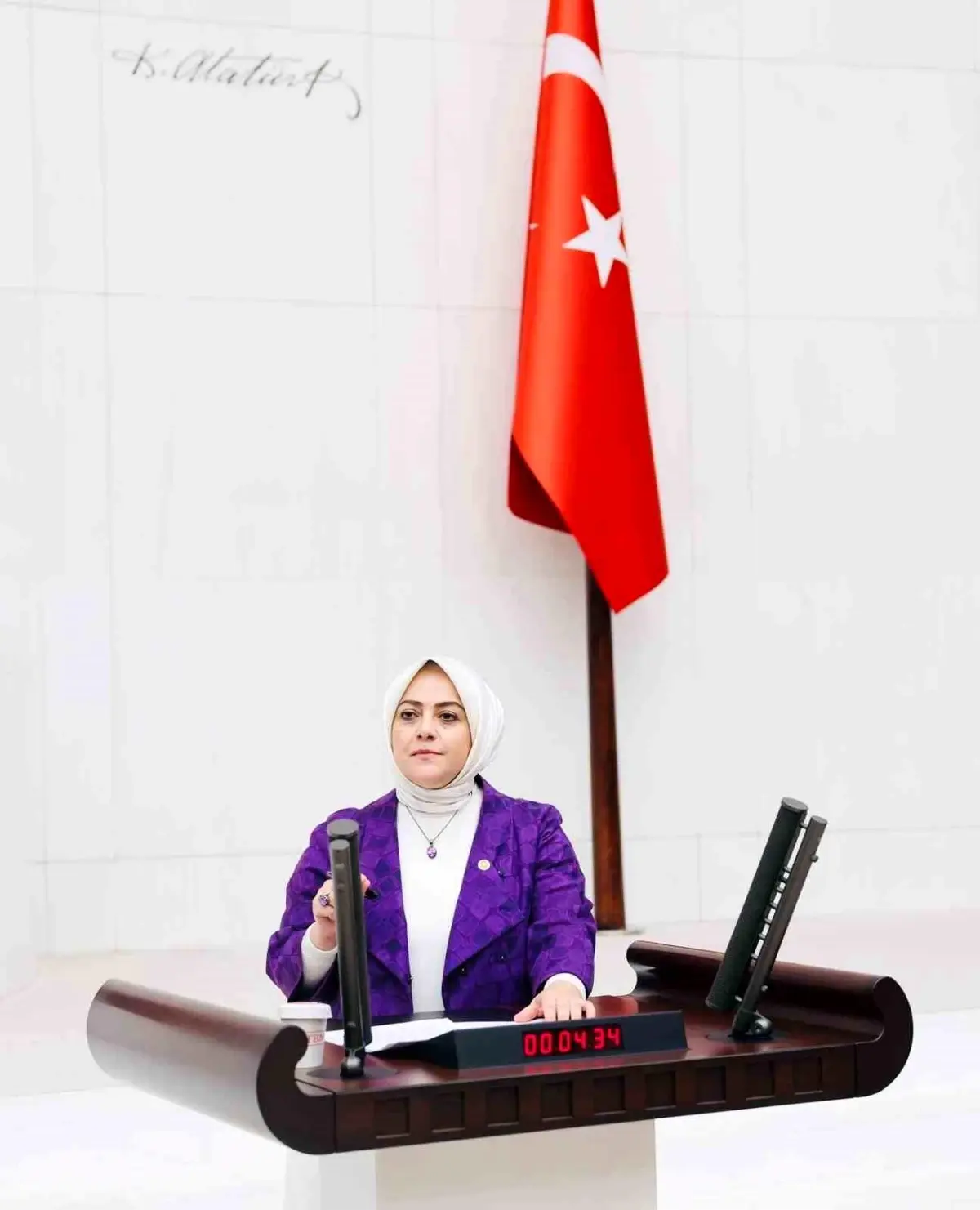 Gelecek Partisi Milletvekili Sema Silkin Ün’den 19 Mayıs Bildirisi