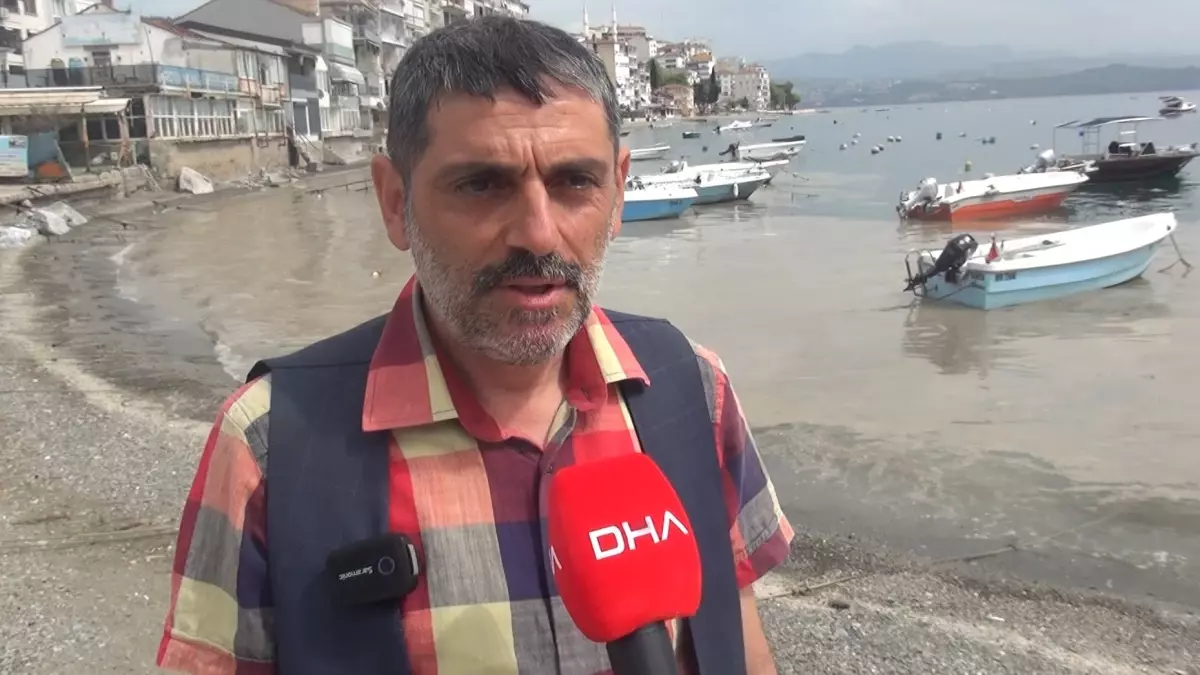Gemlik’te Müsilaj Tasası Artıyor