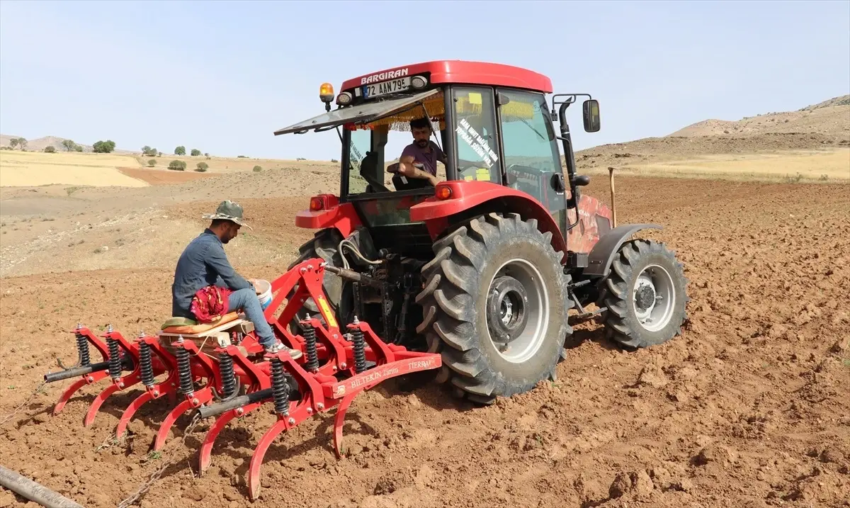 Gercüş’te Kavun ve Karpuz Ekimleri Başladı