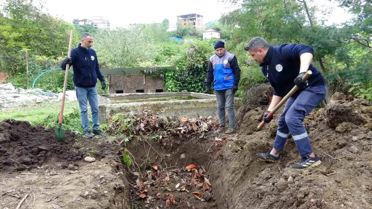 Giresun’da Balık Atıkları Etraf Dostu Projede Bedellendiriliyor