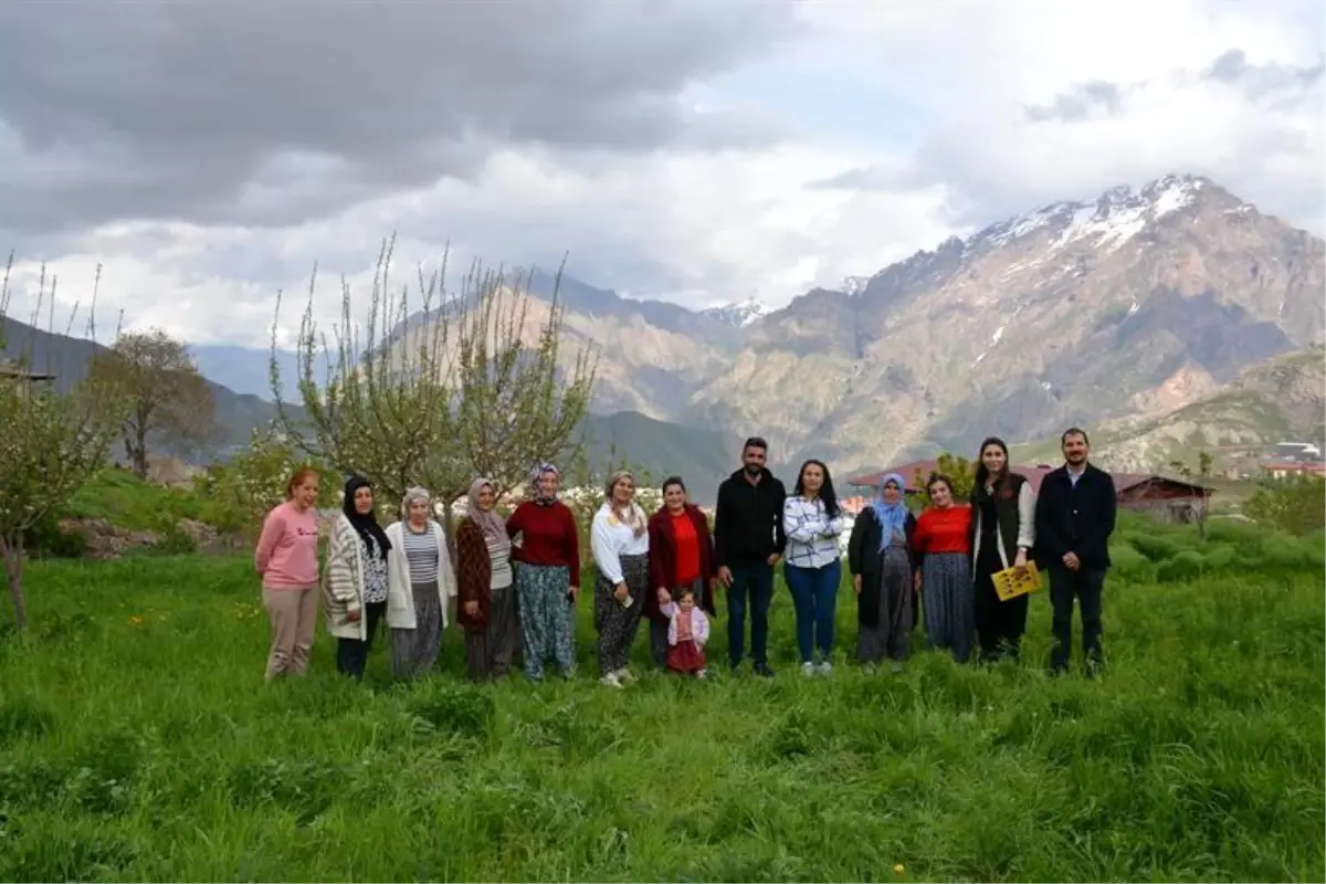 Hakkari’de Bayanlara Safran Eğitimi