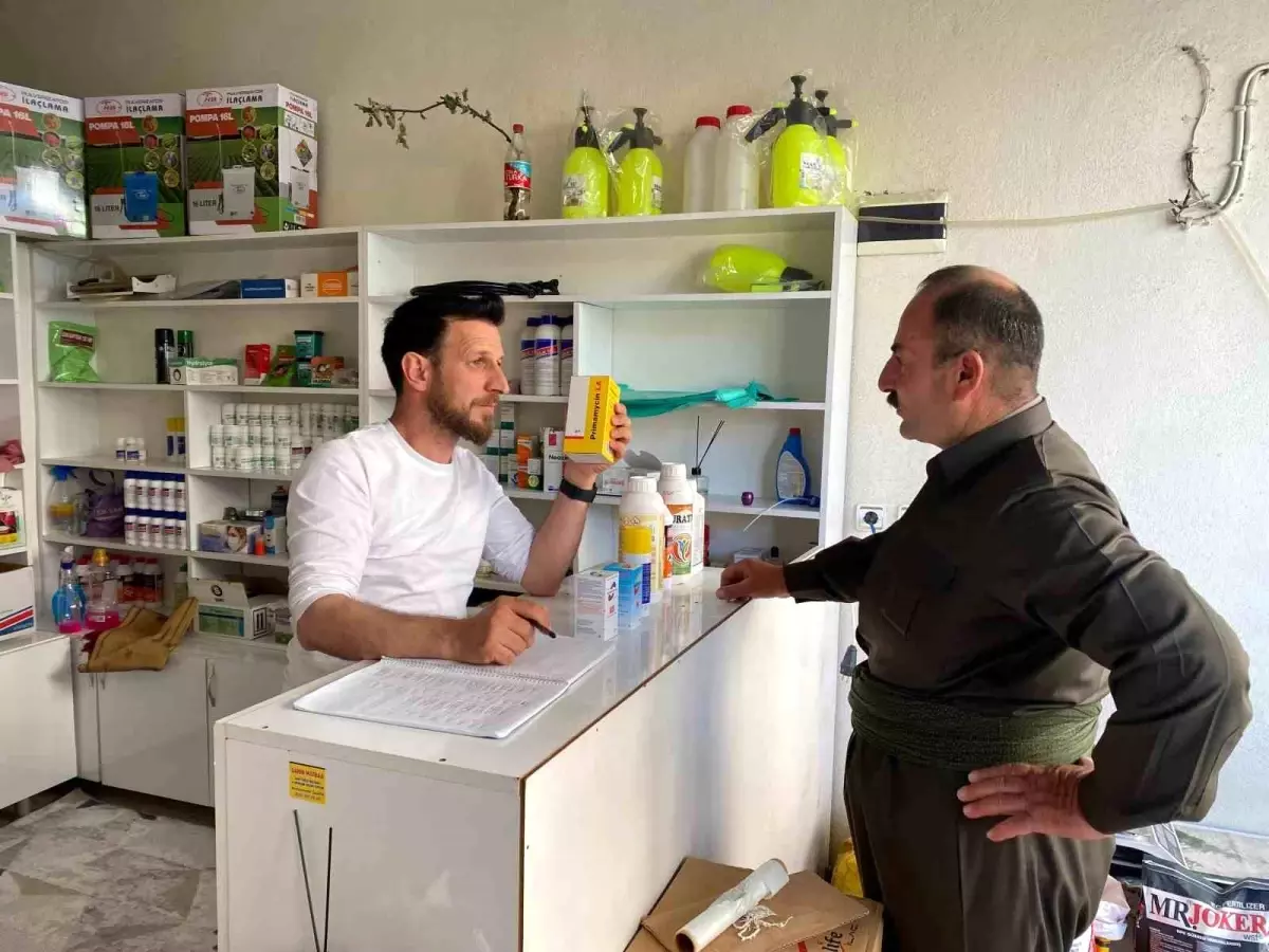 Hakkari’de Şap Hastalığına Karşı Önlemler