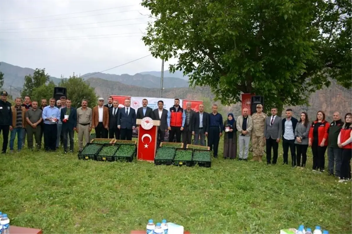 Hakkari’de Zerzevat Fideleri Dağıtımı