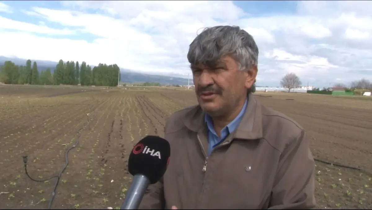 Hava Şartları Meyve Zerzevat Fiyatlarını Etkiliyor