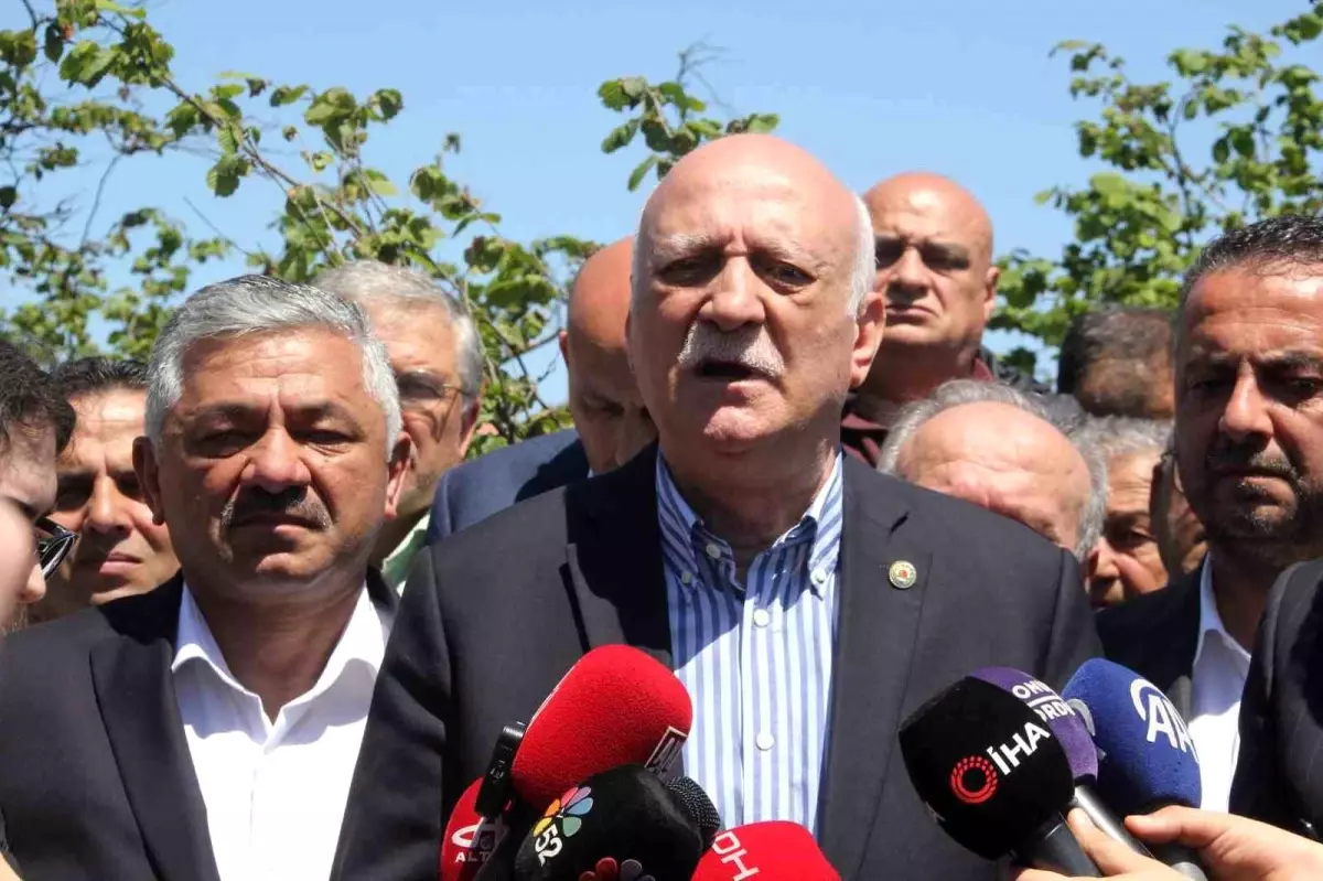 İklim Değişikliği Fındık Üretimini Olumsuz Etkiliyor