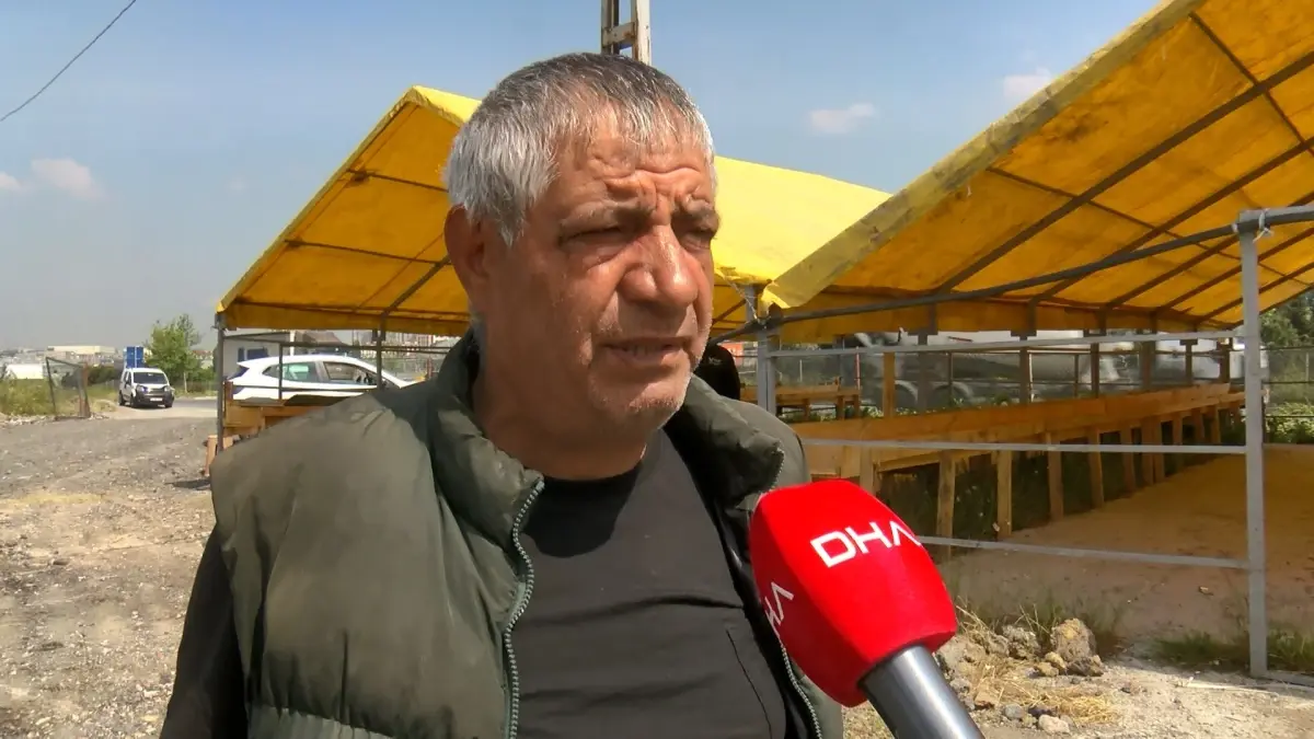 İstanbul’da Kurban Pazarı Hazırlıkları Başladı