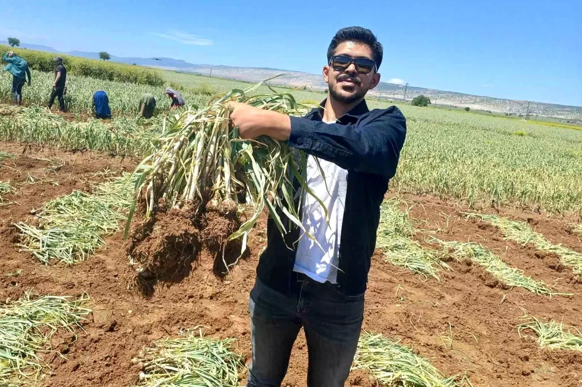 Kadir Öztürk: Genç Ziraat Mühendisi Sarımsak Üretimini Geliştiriyor