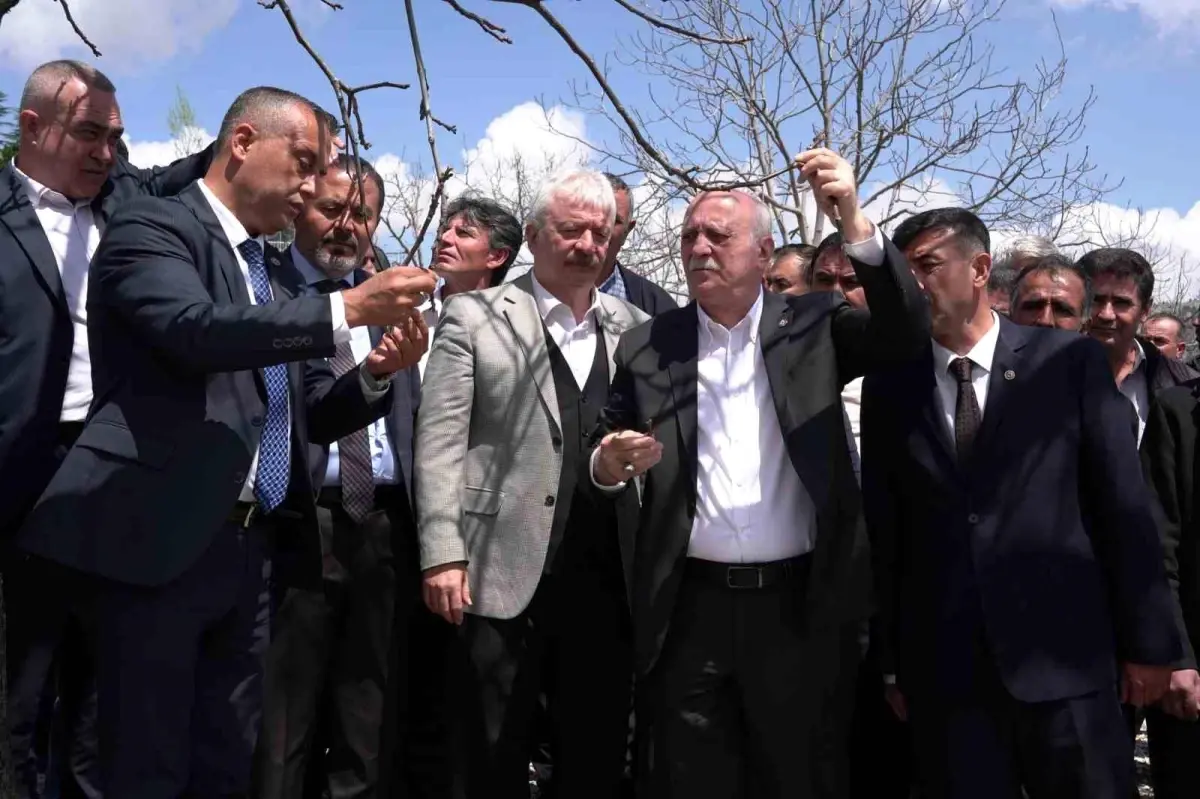 Kahramanmaraş’ta Zirai Don İncelemesi