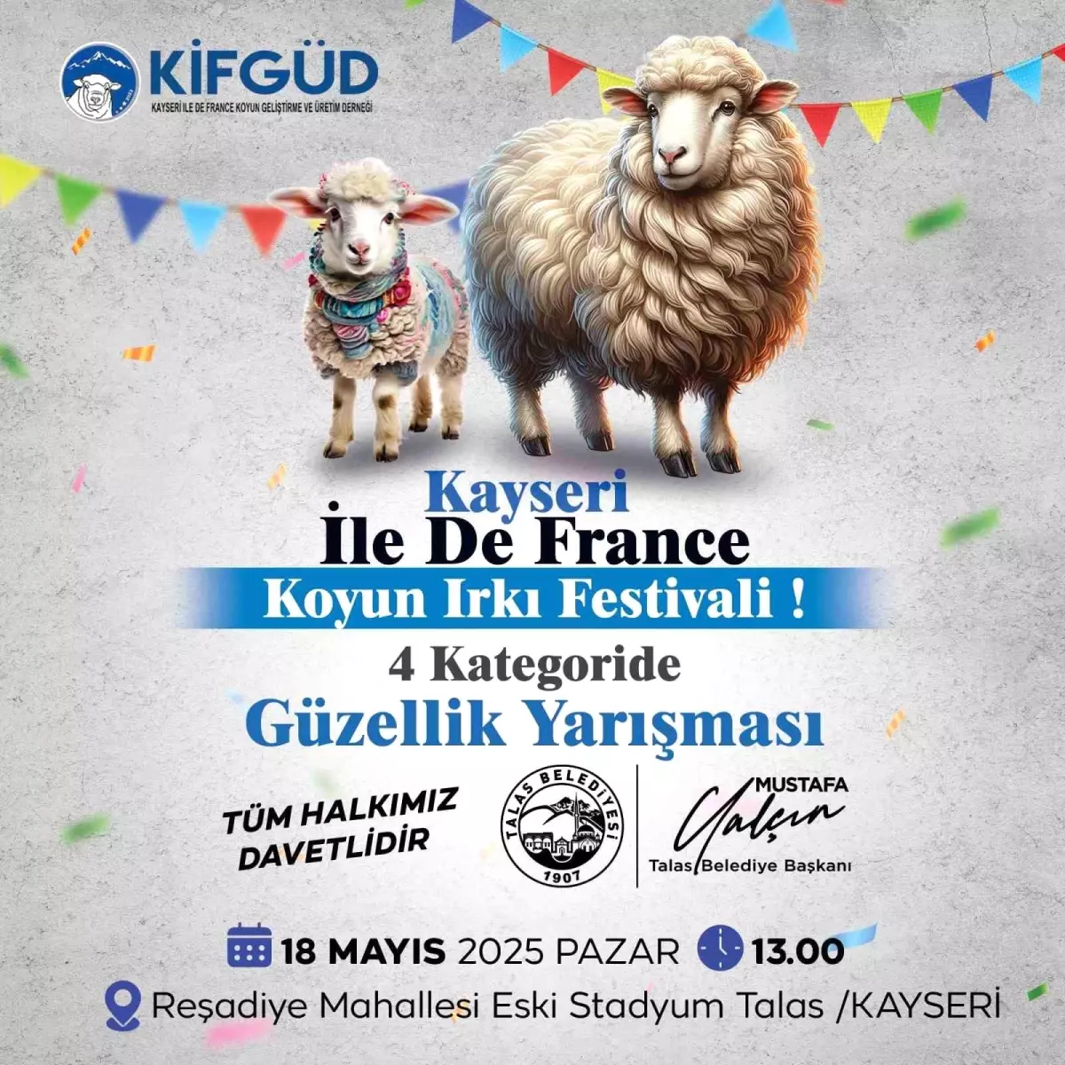 Kayseri’de Ile de France Koyun Irkı Şenliği Düzenleniyor