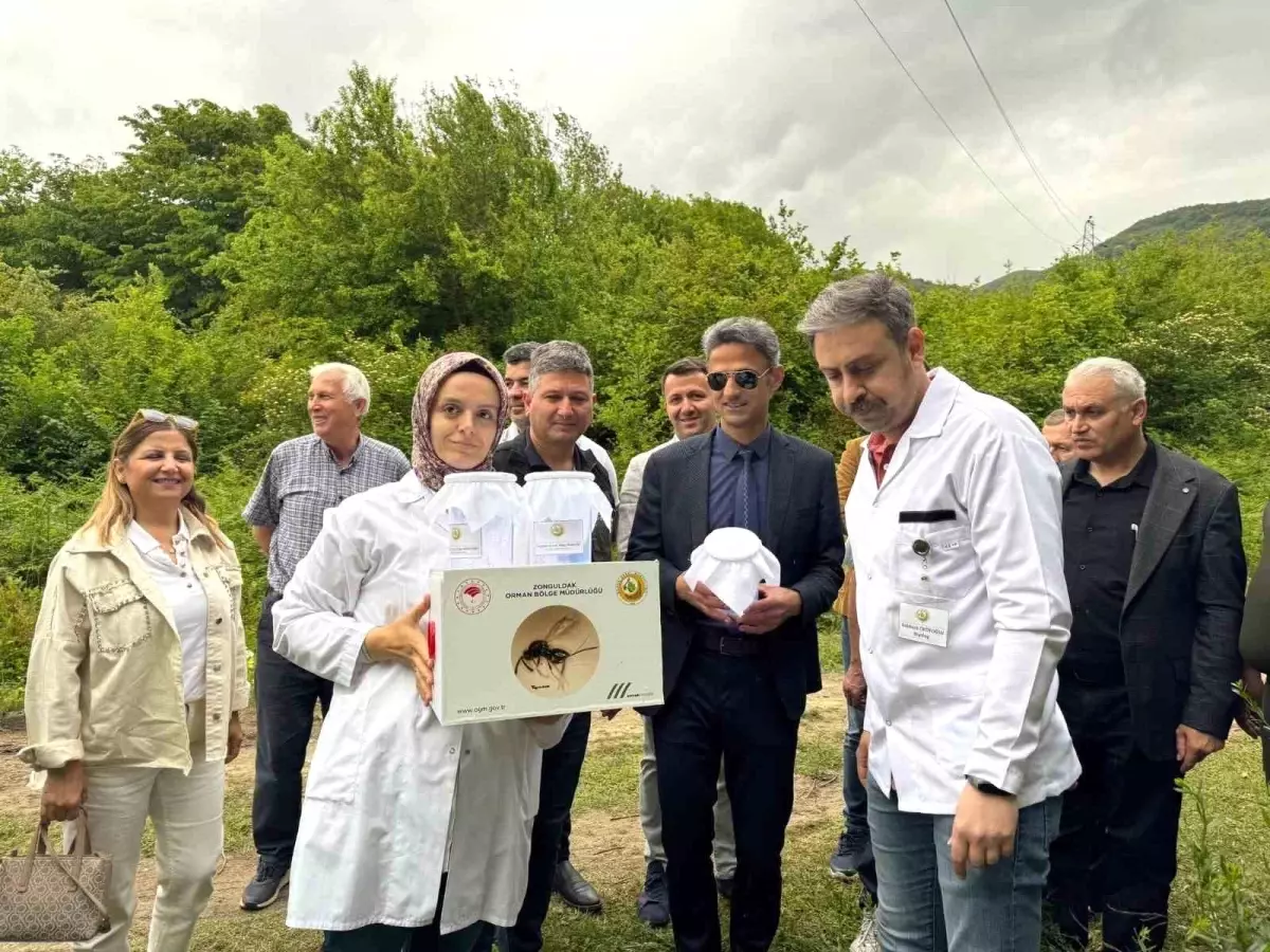 Kestane Gal Arısına Biyolojik Uğraş